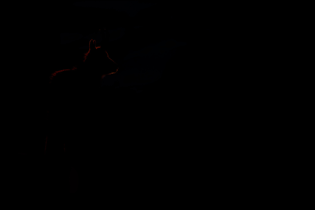 _DSC6673_DxO.jpg