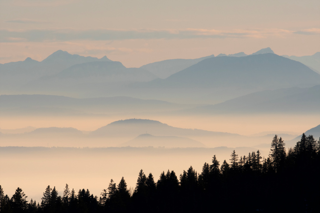 _DSC7010_DxO.jpg
