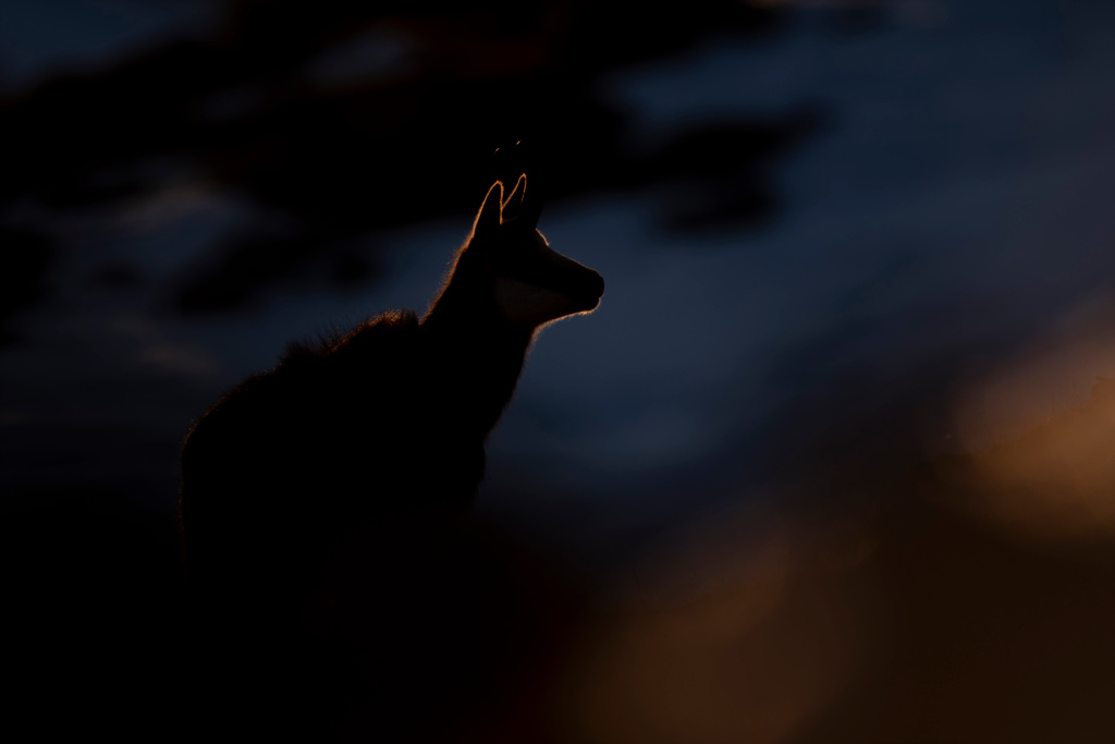 _DSC7072_DxO.jpg