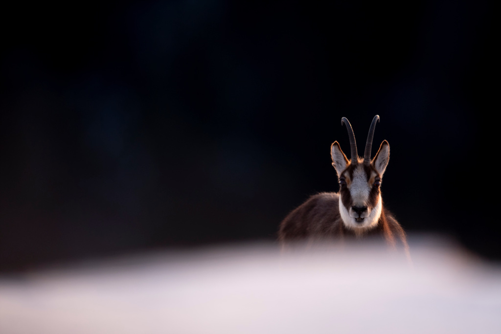 _DSC7215_DxO.jpg