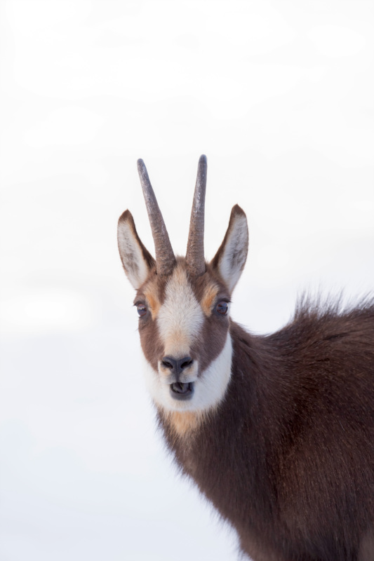 _DSC7285_DxO.jpg