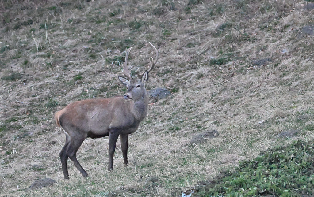 ZSC_1399.jpg