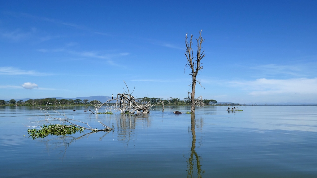 003 Lac Naivasha.jpg