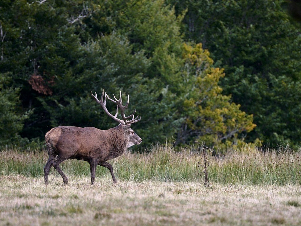 a 2253_1_1_02_1_1_02.jpg