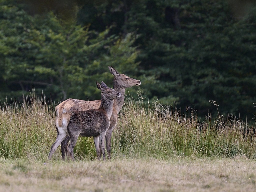 a 2661_1_03_1_03.jpg