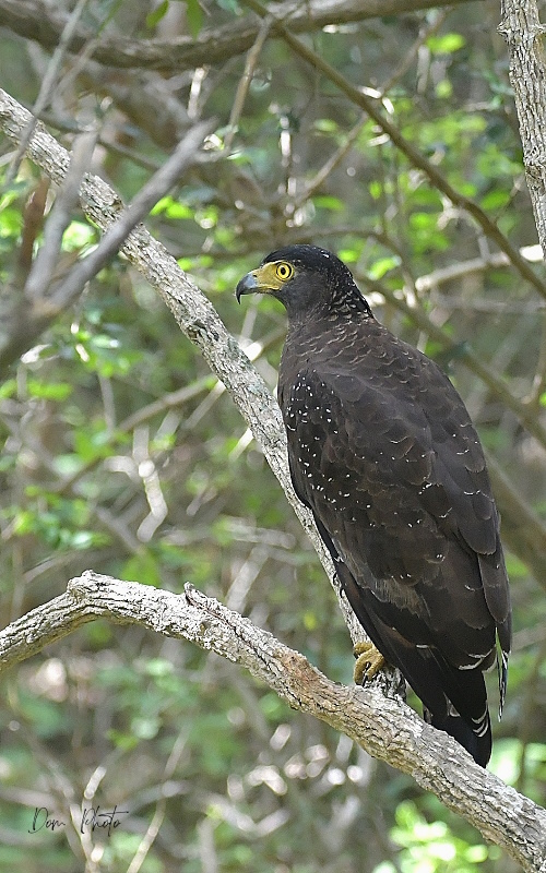 DSC_7997IN.jpg