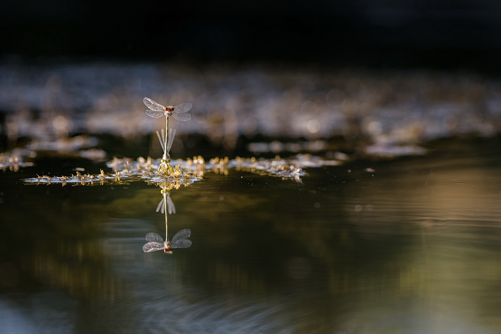 1 En stationnaire.jpg