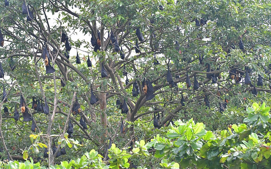 DSC_9608IN.jpg