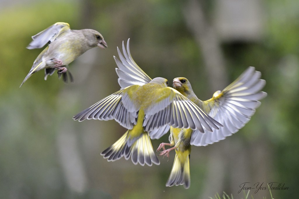 DSC_@6740 - 1K JPEG.jpg