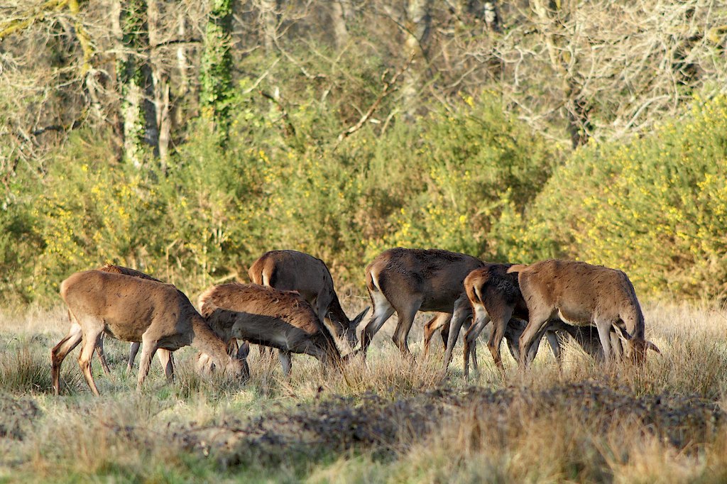 on sort pour le diner.jpg