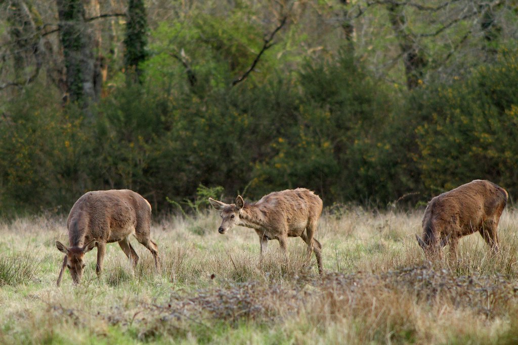 on regarde pas sa mère comme ça.jpg