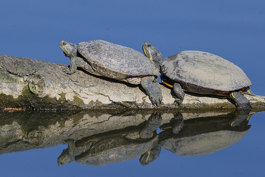 _DSC4140_DxO.jpg