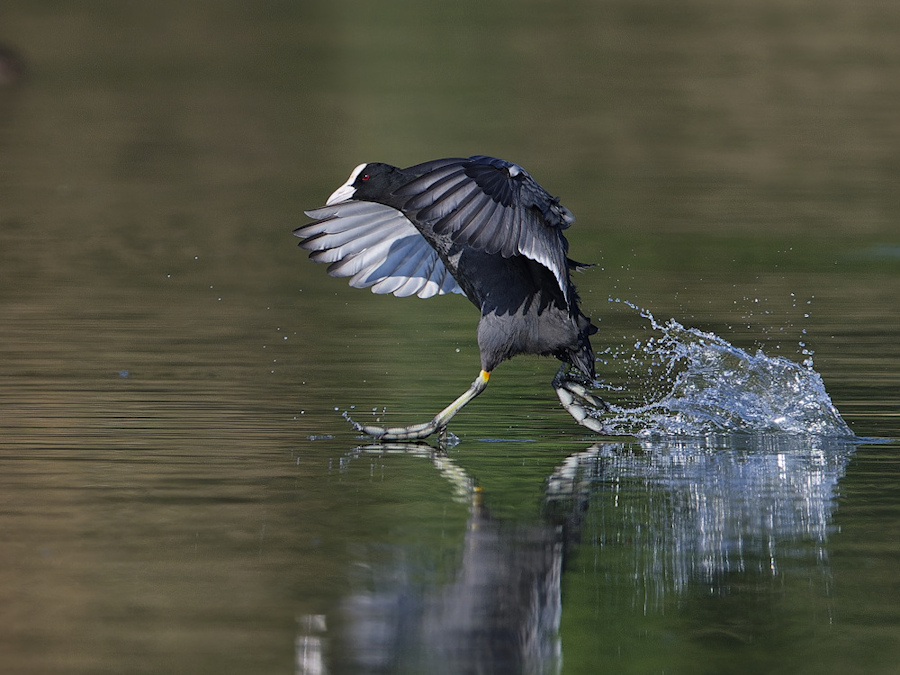 _DSC4298_DxO.jpg