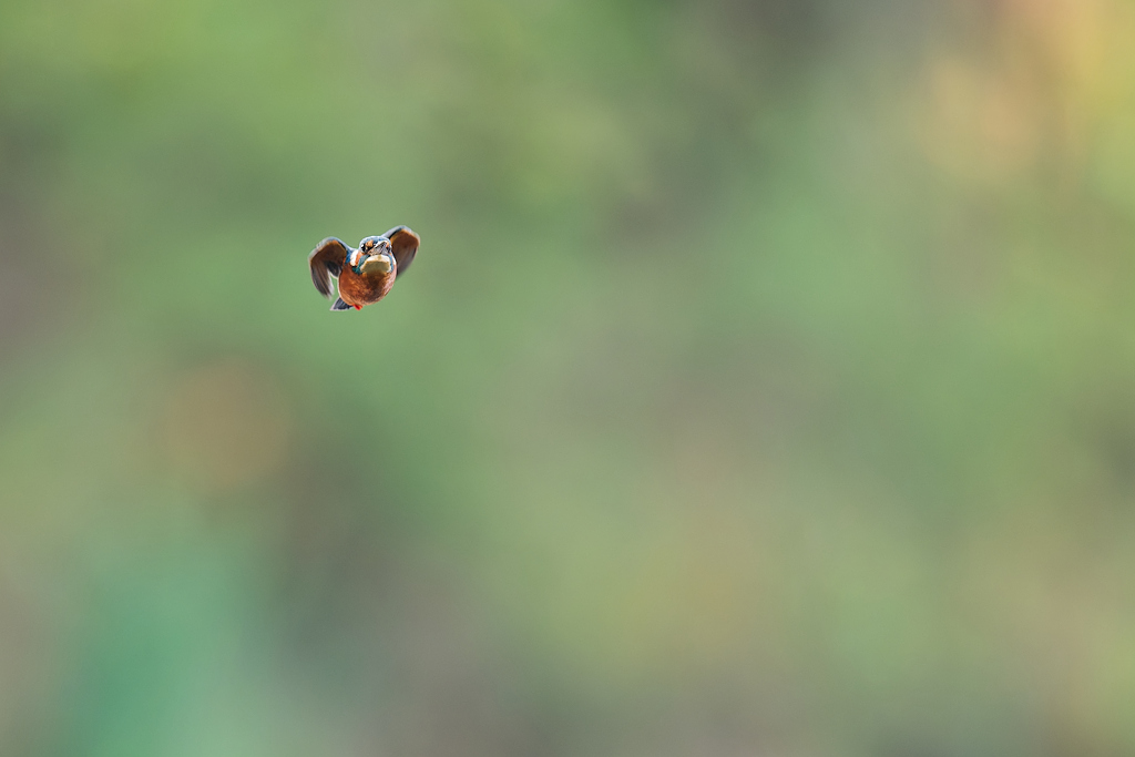 DSC_4418_DxO-1.jpg