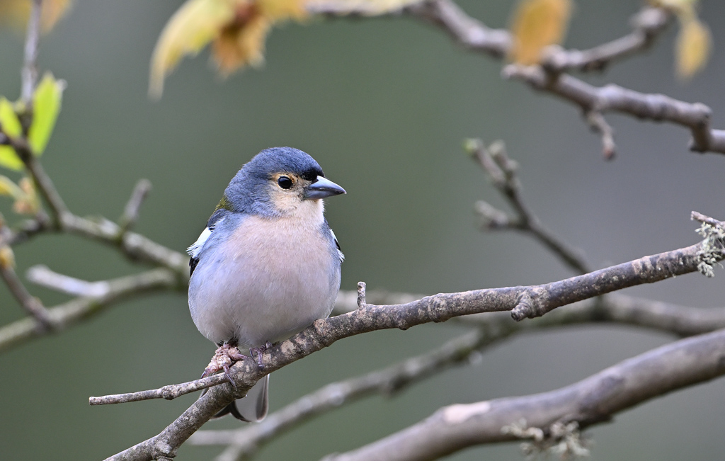 DSC_5174.jpg