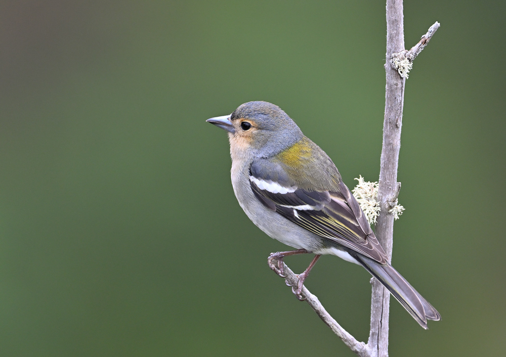 DSC_5178.jpg
