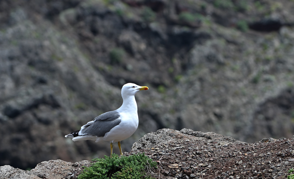DSC_5066.jpg