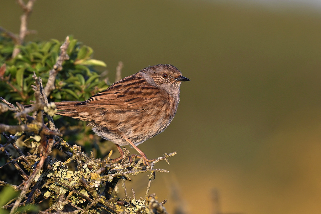 c 0054_1_02_1_02.jpg