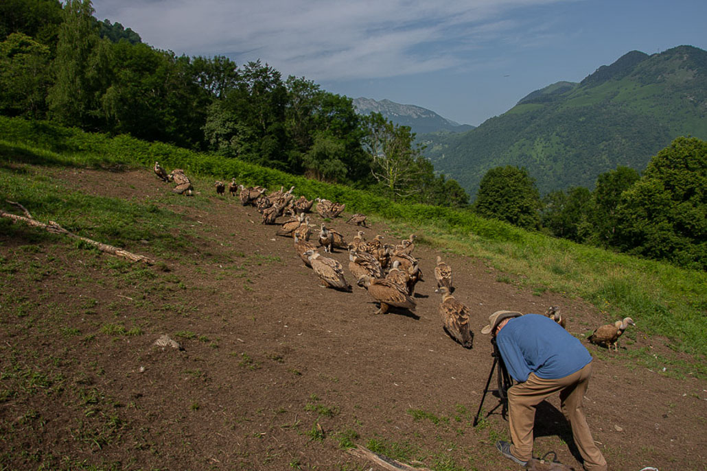 Vautour avec Domiqiue MEININGER (6 sur 11).jpg