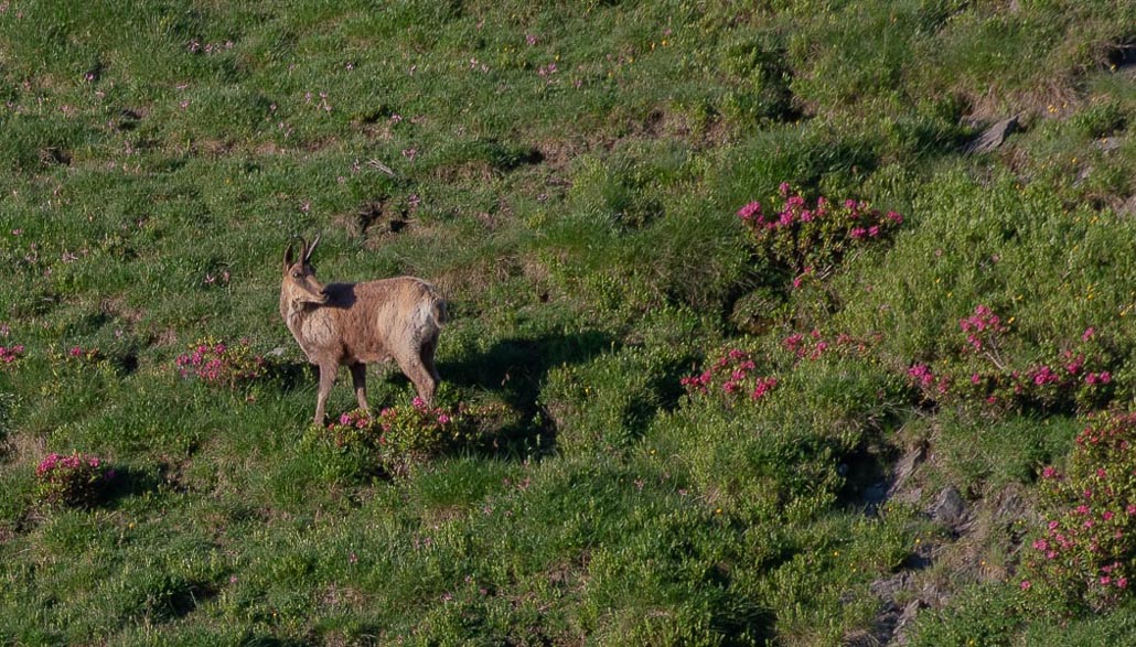 Balade solo vers Cuyalaret (1 sur 11).jpg