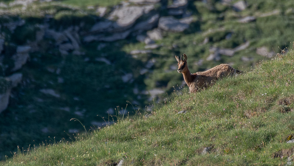 Balade solo vers Cuyalaret (2 sur 11).jpg