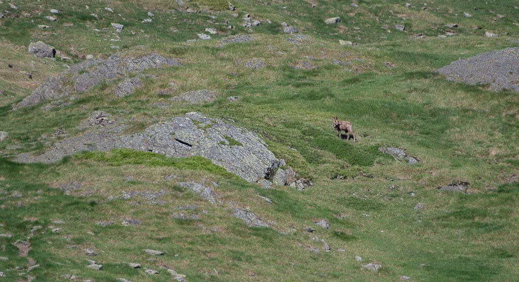 Balade solo vers Cuyalaret (4 sur 11).jpg