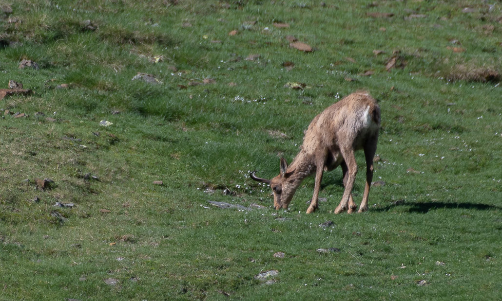 Balade solo vers Cuyalaret (5 sur 11).jpg