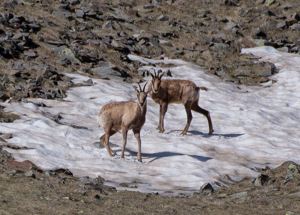 Balade solo vers Cuyalaret (7 sur 11).jpg