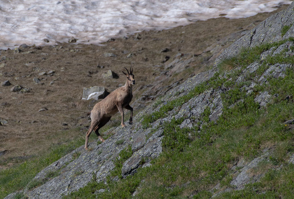 Balade solo vers Cuyalaret (8 sur 11).jpg