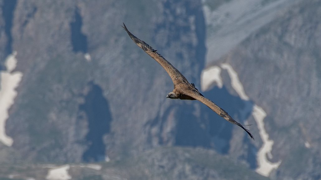 Balade solo vers Cuyalaret (10 sur 11).jpg