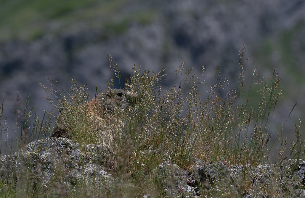 Balade solo vers Cuyalaret (5 sur 11) - Copie.jpg