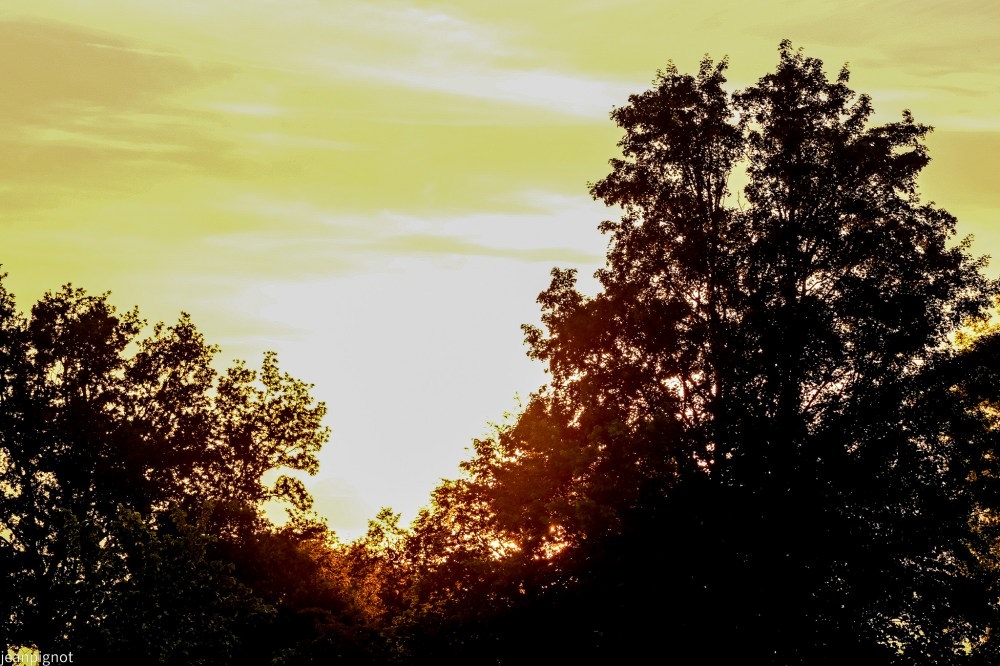 N1 ambience_001N1 ambience.JPG
