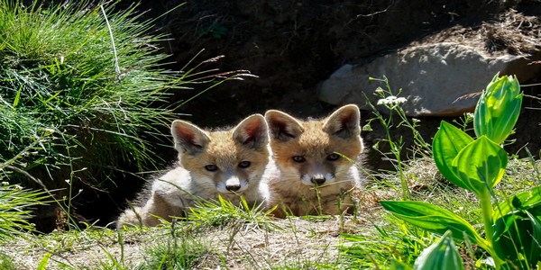 sans titre (13 sur 13).jpg