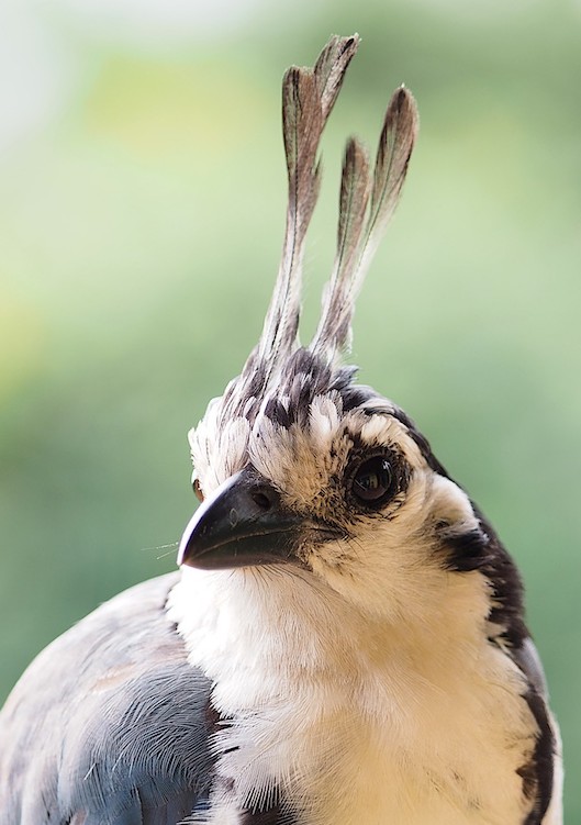 Capture d’écran 2025-09-04 175408.jpg
