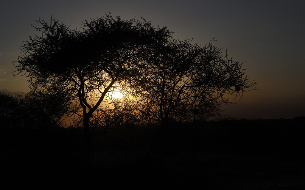 DS5_4504.jpg