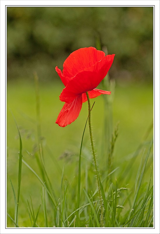 03 mai 2010_0351-1.jpg