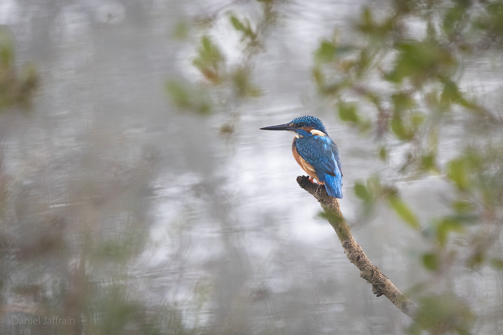 Image et Nature-1-136.jpg