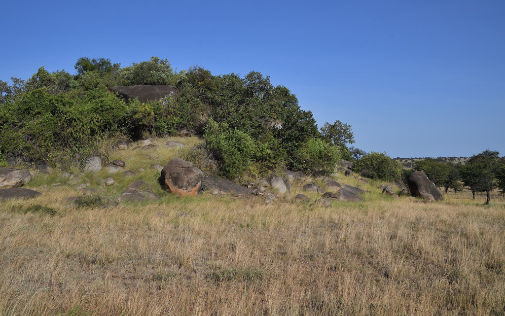 DS5_4516.jpg