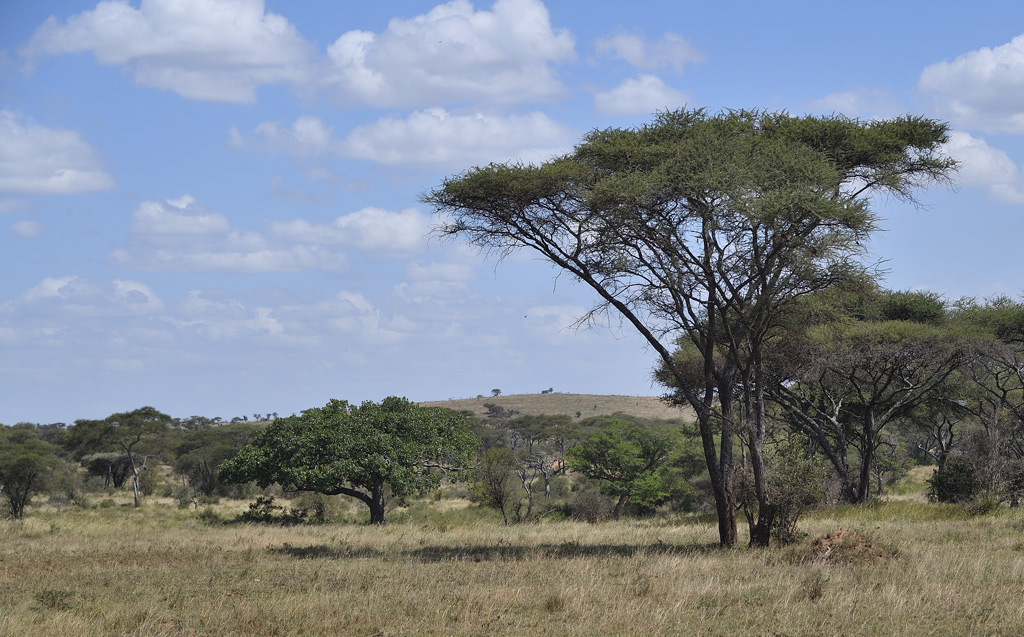 DS5_4689.jpg