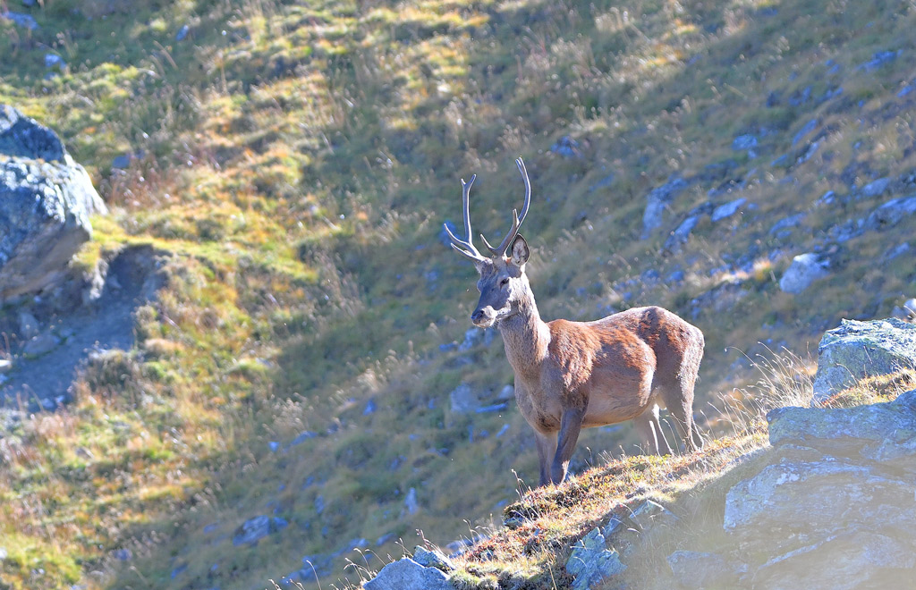 ZSC_0959.jpg
