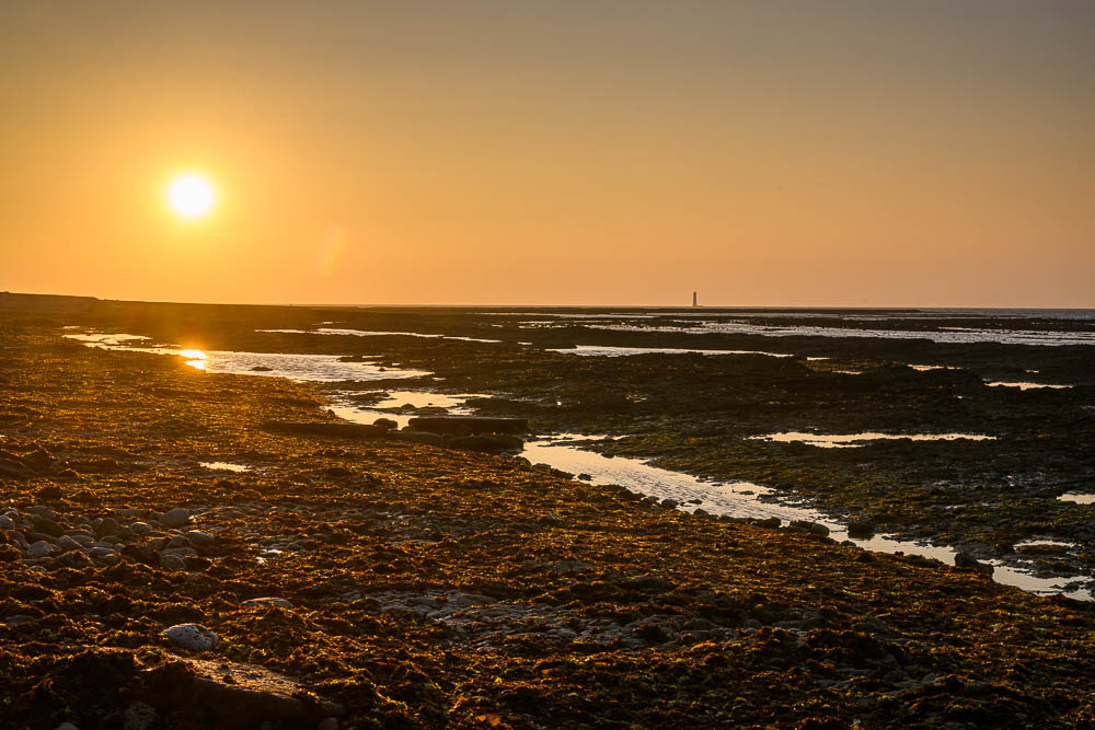 La Rochelle 2025_127.jpg