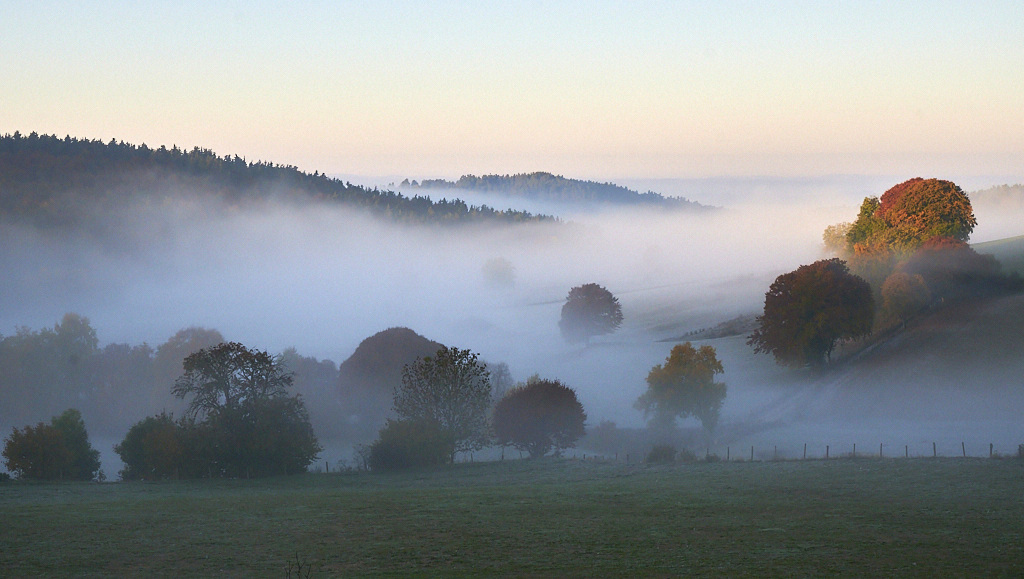 a 8710_1_03_1_01.jpg