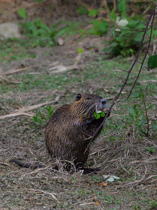 La Rochelle 2025_706.jpg