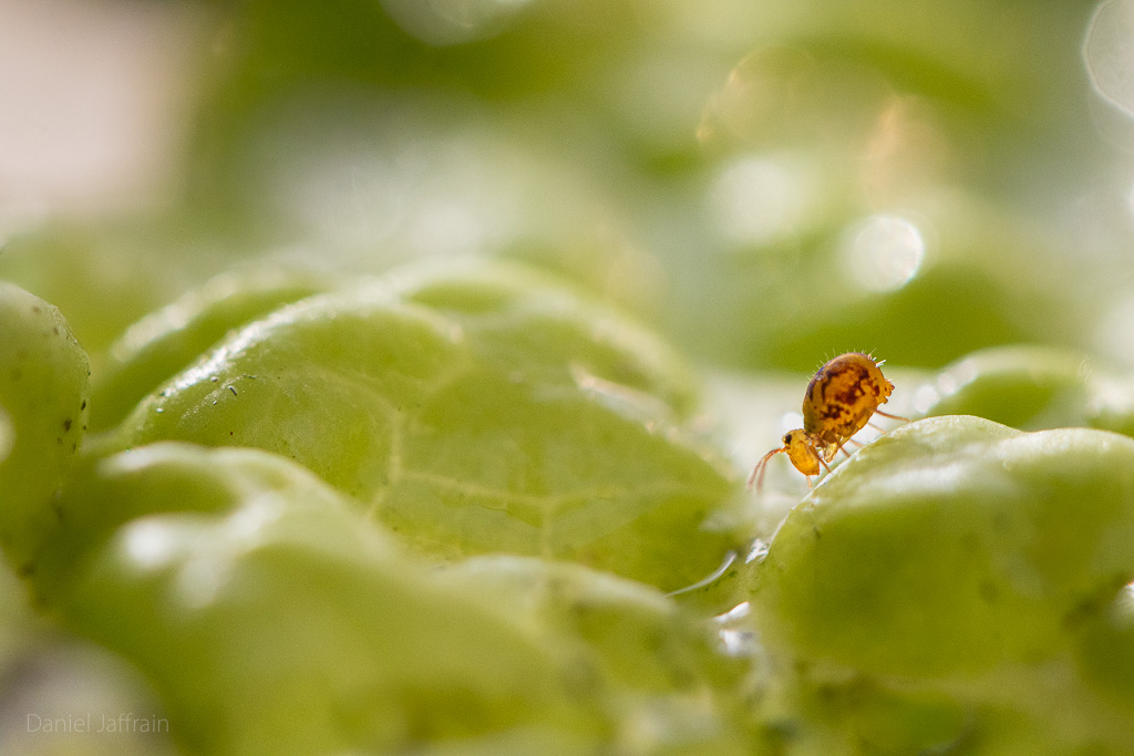 Image et Nature-1-154.jpg