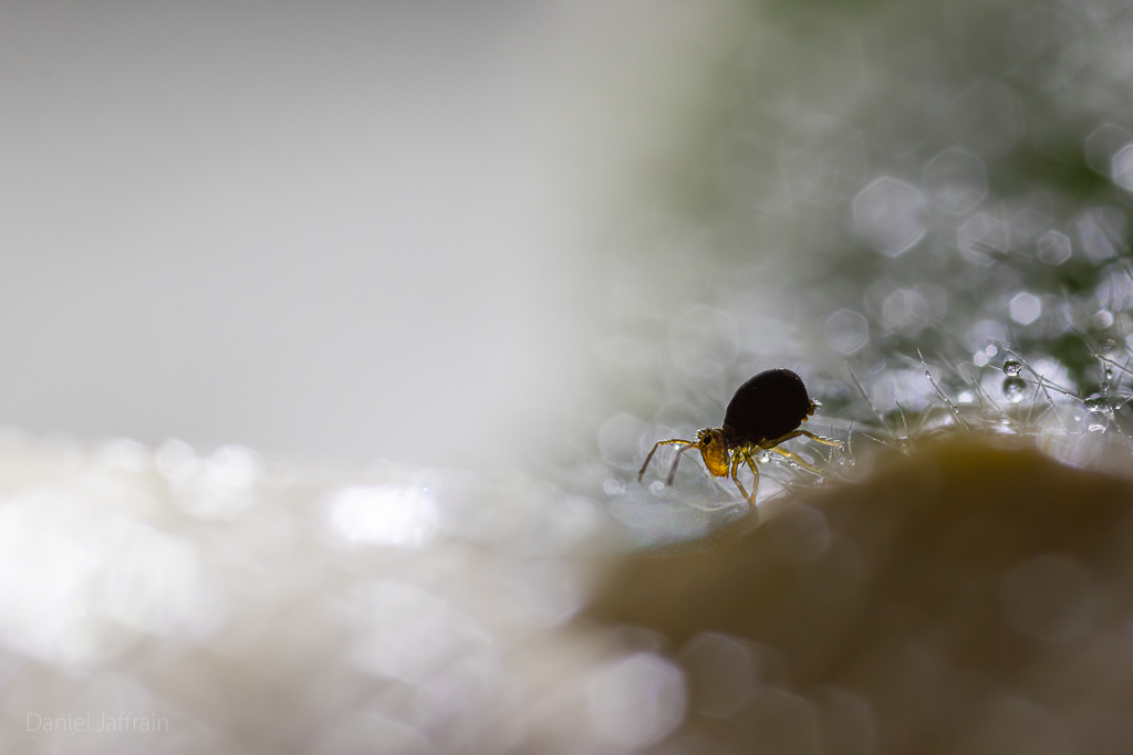 Image et Nature-1-155.jpg