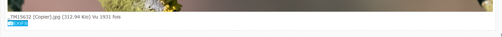 Exifs.jpg