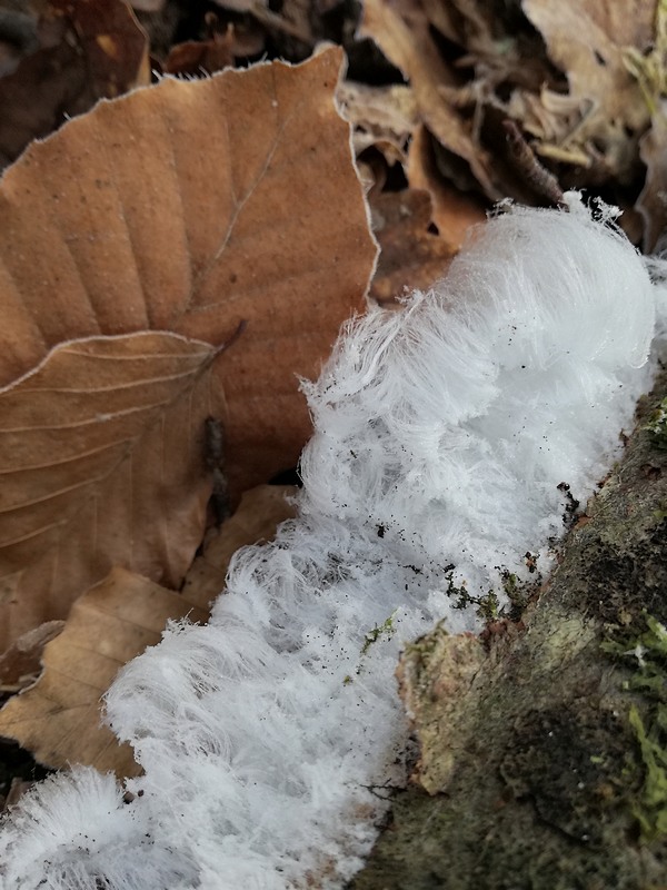 givre.JPG