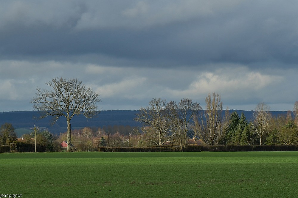 N3 jeux de lumiéres.JPG