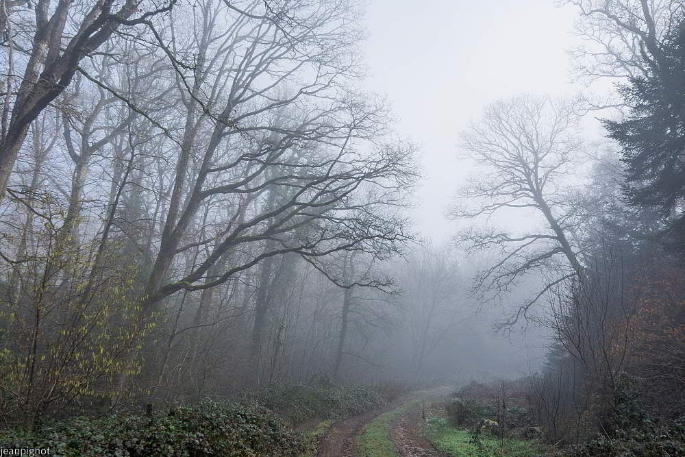 DSC_6212_001DSC_6212.JPG