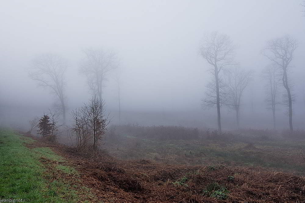 DSC_6202_001DSC_6202.JPG